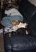 Jill and our dogs