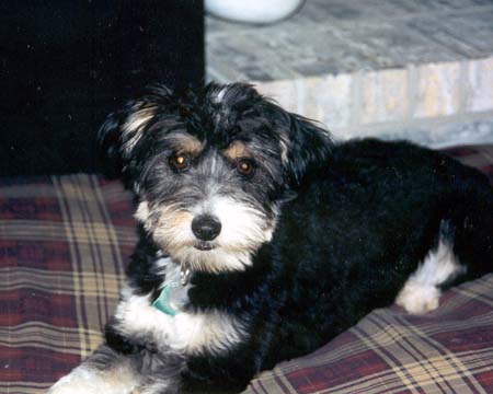 Patches