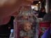Connor in a Bottle